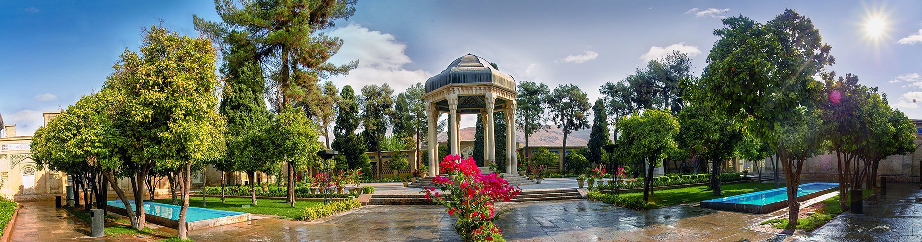 يوم حافظ