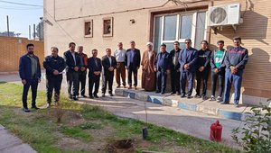 درختکاری (1)