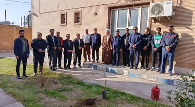 درختکاری (1)