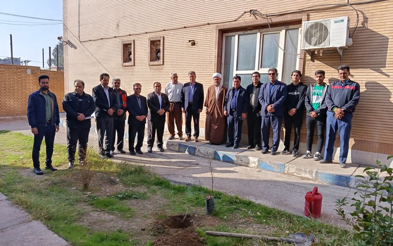 درختکاری (1)