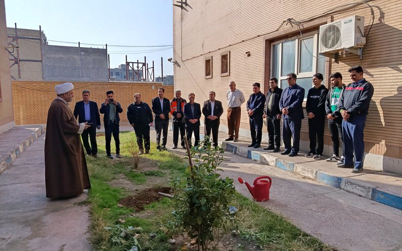 درختکاری (2)