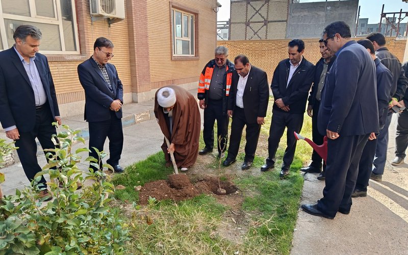 درختکاری (3)