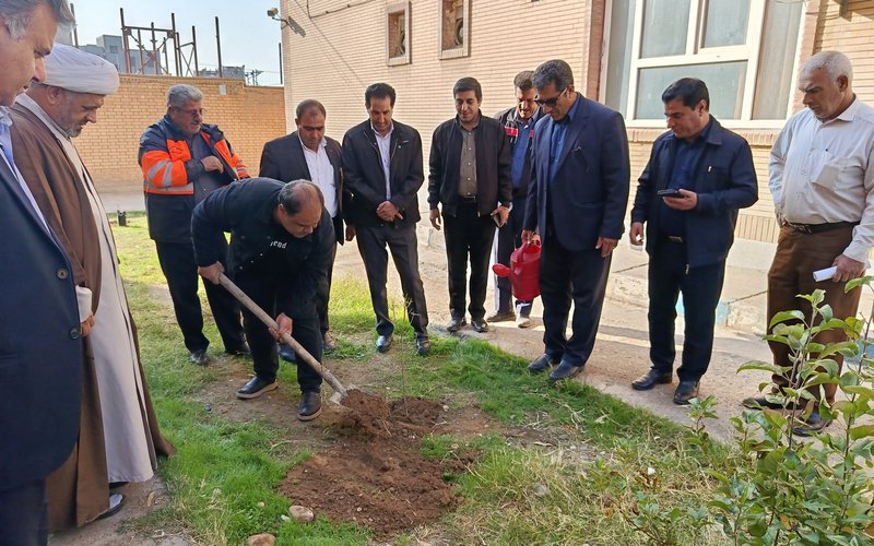 درختکاری (4)