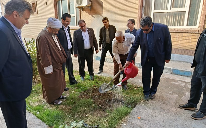 درختکاری (5)