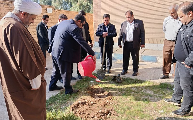 درختکاری (7)